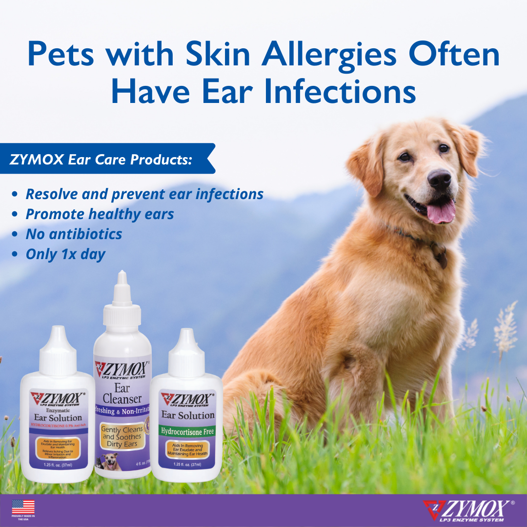 Dogs and hydrocortisone cream best sale