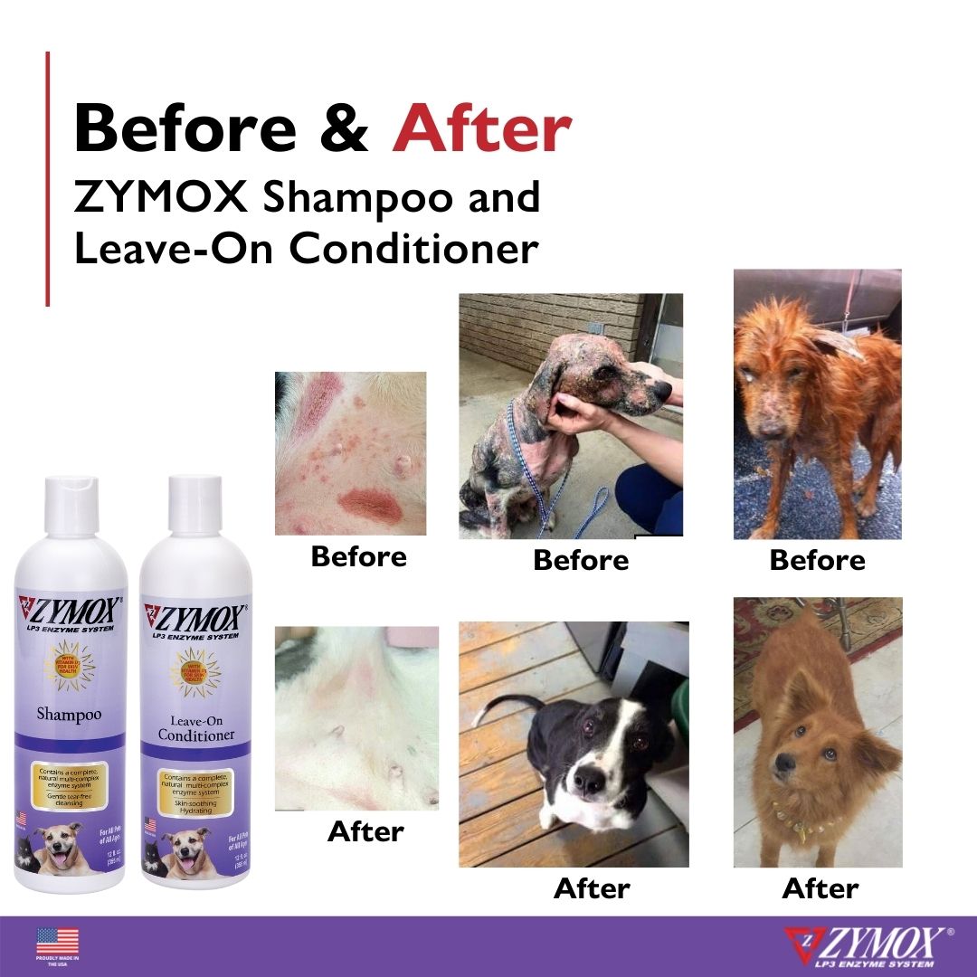 ZYMOX Shampoo Best Pet Dog Shampoo for Itchy Skin