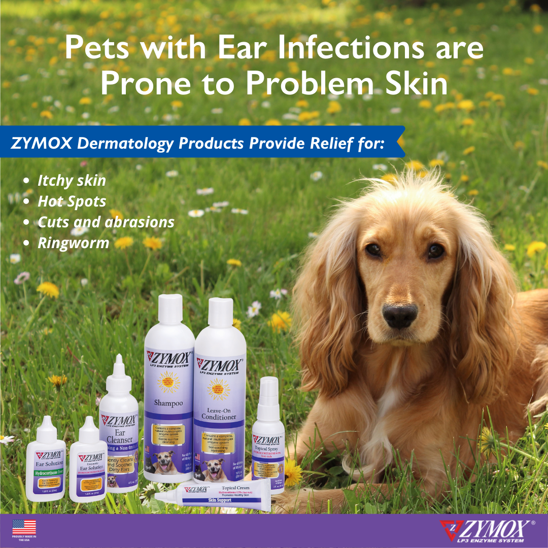 Derm and Ear with Products (4)